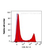 Anti-Human CD8a (OKT8) Proteintech  65135-1-Ig