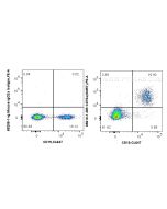 Anti-Human CD79a (HM57) Mouse IgG2a Recombinant Antibody Proteintech  65610-1-MR