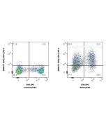 Anti-Human LIGHT/CD258 Rabbit Recombinant Antibody Proteintech  98063-1-RR