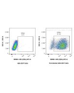 Anti-Mouse IL-28A Rabbit Recombinant Antibody Proteintech  98388-1-RR