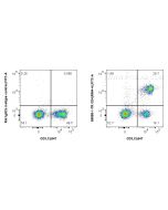 Anti-Mouse CD4 (RM4-4) Rat IgG2a Recombinant Antibody Proteintech  65655-1-TR