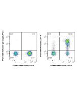 FcZero-rAb? APC Anti-Human CD27 Rabbit Recombinant Antibody Proteintech  APC-FcA98346-3