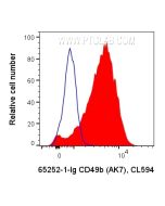 Anti-Human CD49b (AK7) Proteintech  65252-1-Ig