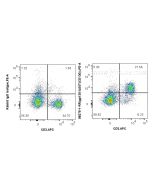 Anti-Mouse gp130/IL6ST Rabbit Recombinant Antibody Proteintech  98275-1-RR