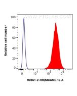 Anti-Human CD146/MCAM Rabbit Recombinant Antibody Proteintech  98561-2-RR