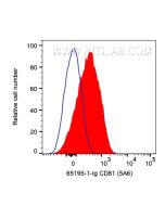 Anti-Human CD81 (5A6) Proteintech  65195-1-Ig