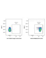 Biotin Anti-Mouse CD147 Rabbit scFv Antibody Proteintech  Biotin-SF98229
