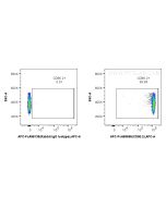 FcZero-rAb? APC Anti-Mouse CD90.2 (30-H12) Rabbit IgG Recombinant Antibody Proteintech  APC-FcA65656