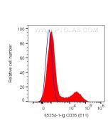 Anti-Human CD35 (E11) Proteintech  65254-1-Ig