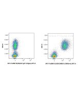 FcZero-rAb? APC Anti-Human CEACAM5/8 (CD66b/e) Rabbit Recombinant Antibody Proteintech  APC-FcA98012