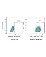 Anti-Mouse CXCL4/PF4 Rabbit Recombinant Antibody Proteintech  98397-2-RR