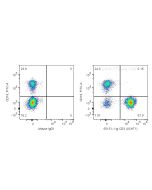 Anti-Human CD3 (UCHT1) Proteintech  65151-1-Ig