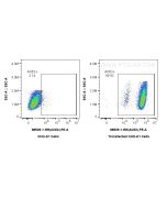 Anti-Human ACE2 Rabbit Recombinant Antibody Proteintech  98529-1-RR