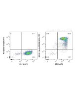 Anti-Mouse Ly-6G/Ly-6C (Gr-1) (RB6-8C5) Proteintech  65140-1-Ig