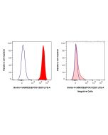 FcZero-rAb? Biotin Anti-Human PROCR/EPCR/CD201 Rabbit Recombinant Antibody Proteintech  Biotin-FcA98325