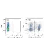 FcZero-rAb? APC Anti-Rat CD43 (W3/13) Rabbit IgG Recombinant Antibody Proteintech  APC-FcA65607