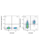 Anti-Human IL-33 Rabbit Recombinant Antibody Proteintech  98364-2-RR