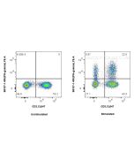 Anti-Human IFN-gamma Rabbit Recombinant Antibody Proteintech  98187-1-RR