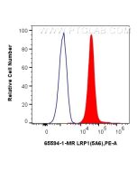 Anti-Human LRP1 (5A6) Mouse IgG2a Recombinant Antibody Proteintech  65594-1-MR