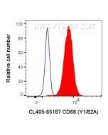 CoraLite? Plus 405 Anti-Human CD68 (Y1/82A) Proteintech  CL405-65187