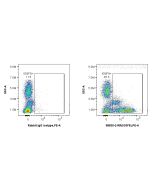 Anti-Human IGSF8/CD316 Rabbit Recombinant Antibody Proteintech  98530-2-RR