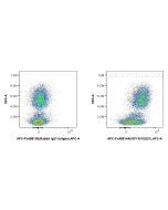 FcZero-rAb? APC Anti-Human IGF1R/CD221 Rabbit Recombinant Antibody Proteintech  APC-FcA98144
