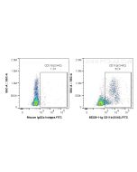 Anti-Rat CD11b/c (OX42) Proteintech  65229-1-Ig
