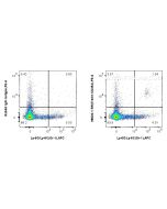 Anti-Mouse TREM-1/CD354 Rabbit Recombinant Antibody Proteintech  98022-1-RR