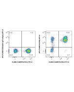 FcZero-rAb? APC Anti-Human CD2 Rabbit Recombinant Antibody Proteintech  APC-FcA98134