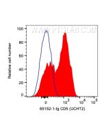 Anti-Human CD5 (UCHT2) Proteintech  65152-1-Ig