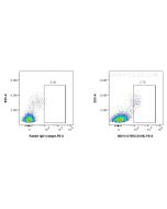 Anti-Human Endoglin/CD105 Rabbit Recombinant Antibody Proteintech  98013-2-RR