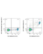 FcZero-rAb? APC Anti-Human CD86 Rabbit Recombinant Antibody Proteintech  APC-FcA98043