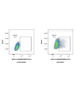 FcZero-rAb? Biotin Anti-Mouse MMP9 Rabbit Recombinant Antibody Proteintech  Biotin-FcA98396
