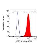Anti-Human ICAM-1/CD54 (15.2) Proteintech  65075-1-Ig