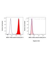 Anti-Human E-cadherin Rabbit Recombinant Antibody Proteintech  98030-1-RR
