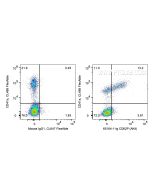 Anti-Human CD62P (AK4) Proteintech  65164-1-Ig