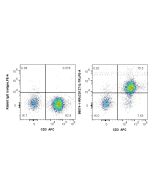 Anti-Human IL-7Ra/CD127 Rabbit Recombinant Antibody Proteintech  98074-1-RR