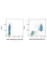 Anti-Human CEACAM6/CD66c Rabbit Recombinant Antibody Proteintech  98329-3-RR