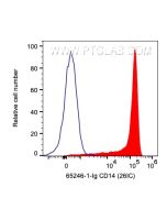 Anti-Human CD14 (26IC) Proteintech  65246-1-Ig