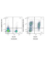 FcZero-rAb? Biotin Anti-Mouse TIGIT Rabbit Recombinant Antibody Proteintech  Biotin-FcA98285