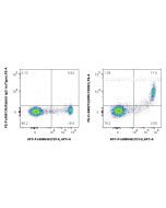 FcZero-rAb? PE Anti-Human DR5/CD262 Rabbit Recombinant Antibody Proteintech  PE-FcA98273