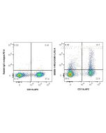 Anti-Mouse VCAM-1/CD106 Rabbit Recombinant Antibody Proteintech  98059-1-RR
