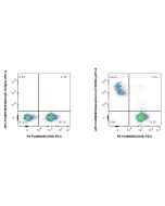 FcZero-rAb? APC Anti-Mouse Glycophorin A/CD235a Rabbit Recombinant Antibody Proteintech  APC-FcA98269