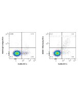 Anti-Mouse CLEC9A/CD370 Rabbit Recombinant Antibody Proteintech  98395-1-RR