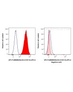 FcZero-rAb? APC Anti-Human Nectin-2/CD112 Rabbit Recombinant Antibody Proteintech  APC-FcA98283
