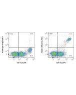 Anti-Human CD14 Rabbit Recombinant Antibody Proteintech  98040-1-RR