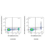 FcZero-rAb? APC Anti-Human Tissue Factor/CD142 Rabbit Recombinant Antibody Proteintech  APC-FcA98104