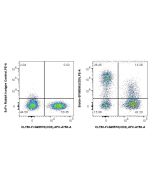 Biotin Anti-Human CD9 Rabbit scFv Antibody Proteintech  Biotin-SF98095