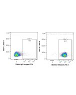Anti-Mouse CD47 Rabbit Recombinant Antibody Proteintech  98456-3-RR