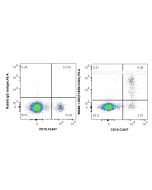 Anti-Human CD23 Rabbit Recombinant Antibody Proteintech  98088-1-RR